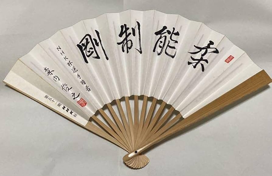 将棋　扇子 Amazon.co.jp: 森内俊之 第五十一期NHK杯将棋扇子将棋 扇子